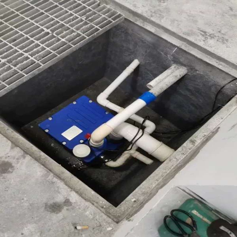 PE一体化污水提升设备 TYTPE1000L双泵 